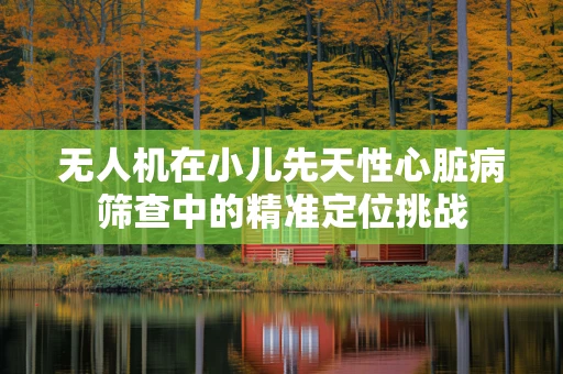 无人机在小儿先天性心脏病筛查中的精准定位挑战