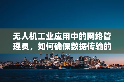 无人机工业应用中的网络管理员，如何确保数据传输的稳定与安全？