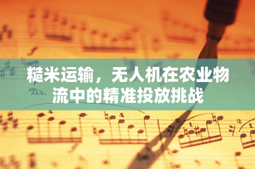 糙米运输，无人机在农业物流中的精准投放挑战