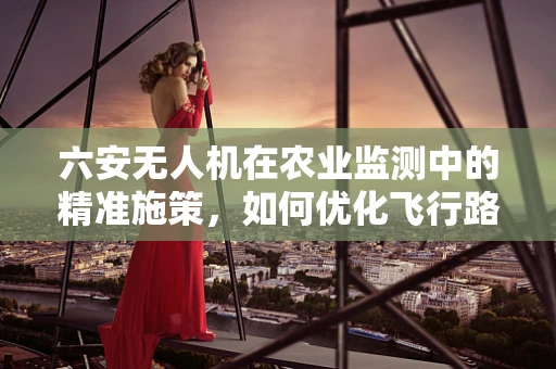 六安无人机在农业监测中的精准施策，如何优化飞行路径以提升监测效率？