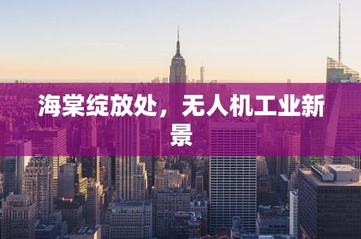 海棠绽放处，无人机工业新景