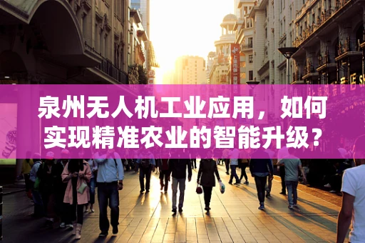 泉州无人机工业应用，如何实现精准农业的智能升级？