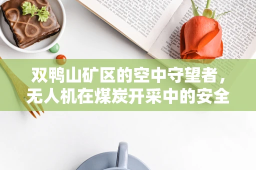 双鸭山矿区的空中守望者，无人机在煤炭开采中的安全与效率挑战