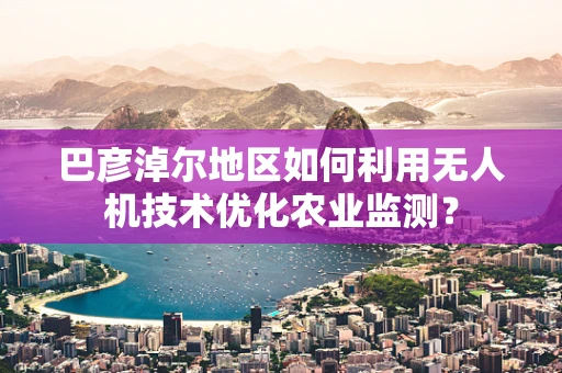 巴彦淖尔地区如何利用无人机技术优化农业监测？