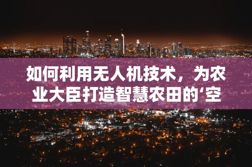 如何利用无人机技术，为农业大臣打造智慧农田的‘空中之眼’？