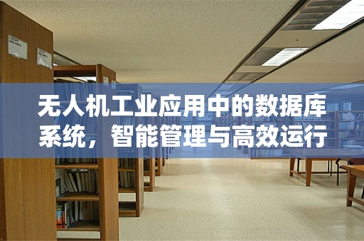 无人机工业应用中的数据库系统，智能管理与高效运行的核心枢纽
