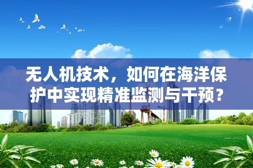 无人机技术，如何在海洋保护中实现精准监测与干预？