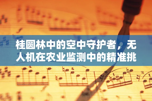 桂圆林中的空中守护者，无人机在农业监测中的精准挑战