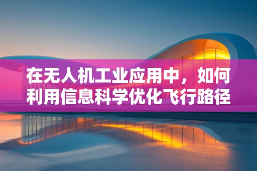 在无人机工业应用中，如何利用信息科学优化飞行路径规划？