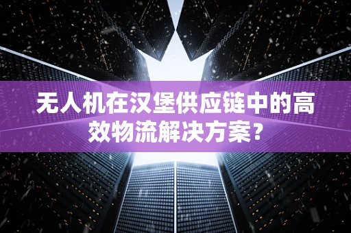 无人机在汉堡供应链中的高效物流解决方案？