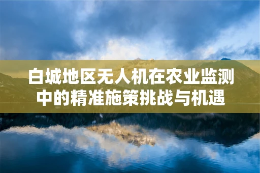 白城地区无人机在农业监测中的精准施策挑战与机遇