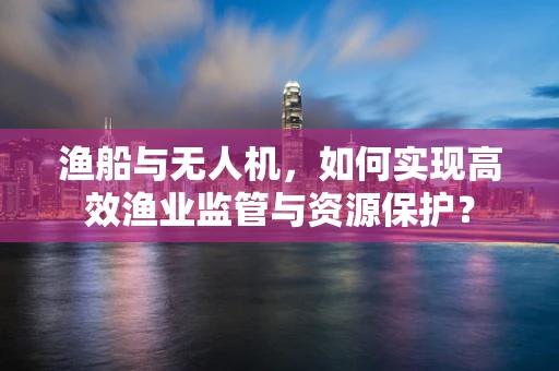 渔船与无人机，如何实现高效渔业监管与资源保护？