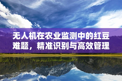 无人机在农业监测中的红豆难题，精准识别与高效管理的挑战