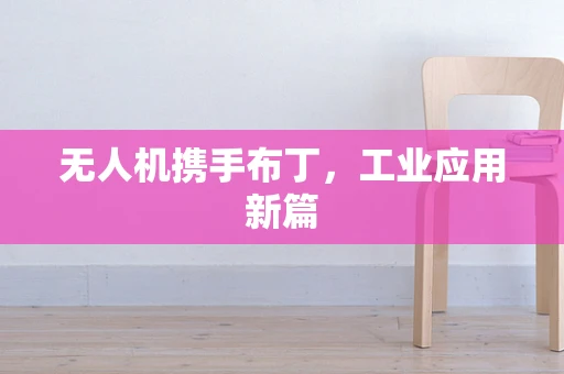无人机携手布丁，工业应用新篇