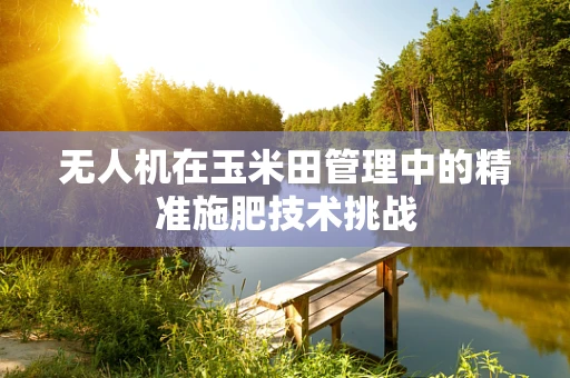 无人机在玉米田管理中的精准施肥技术挑战