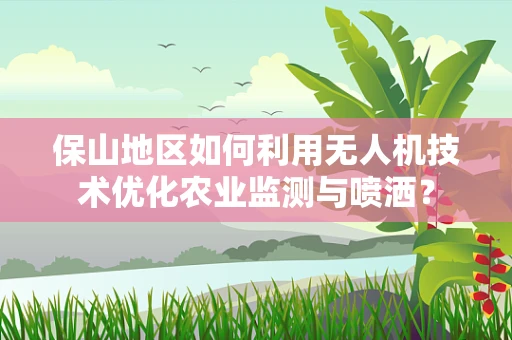 保山地区如何利用无人机技术优化农业监测与喷洒？