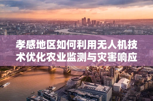 孝感地区如何利用无人机技术优化农业监测与灾害响应？