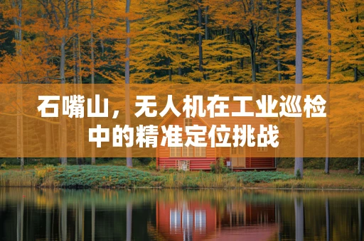 石嘴山，无人机在工业巡检中的精准定位挑战
