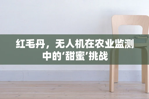 红毛丹，无人机在农业监测中的‘甜蜜’挑战