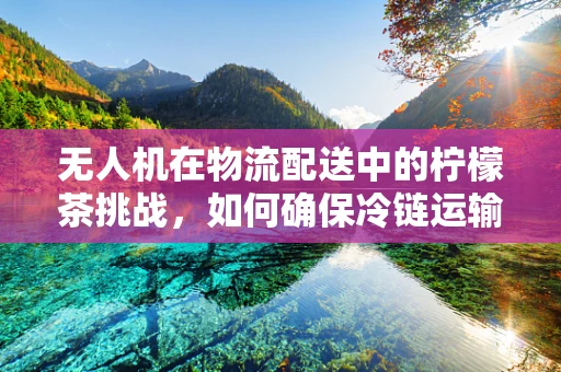 无人机在物流配送中的柠檬茶挑战，如何确保冷链运输中的新鲜度？