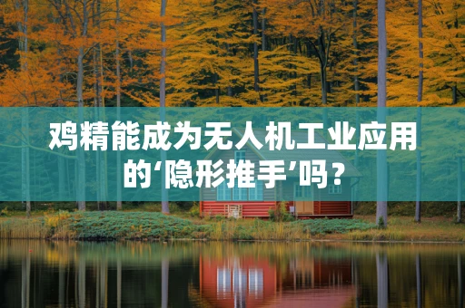 鸡精能成为无人机工业应用的‘隐形推手’吗？