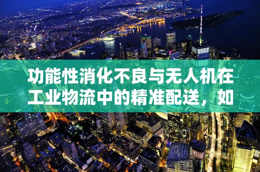 功能性消化不良与无人机在工业物流中的精准配送，如何优化飞行路径以缓解‘消化不良’？