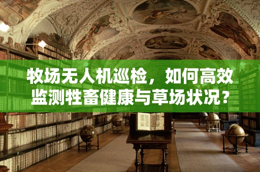 牧场无人机巡检，如何高效监测牲畜健康与草场状况？