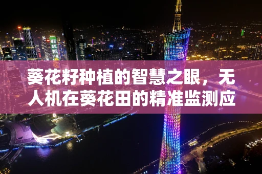 葵花籽种植的智慧之眼，无人机在葵花田的精准监测应用