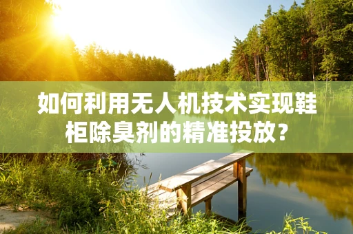 如何利用无人机技术实现鞋柜除臭剂的精准投放？