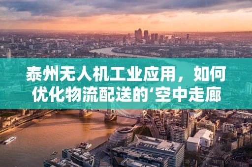 泰州无人机工业应用，如何优化物流配送的‘空中走廊’？