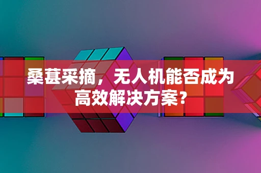 桑葚采摘，无人机能否成为高效解决方案？