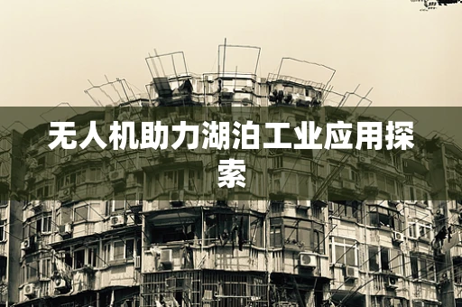 无人机助力湖泊工业应用探索