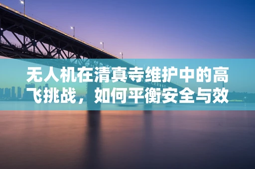 无人机在清真寺维护中的高飞挑战，如何平衡安全与效率？