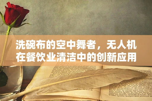 洗碗布的空中舞者，无人机在餐饮业清洁中的创新应用？