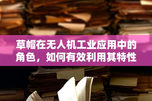 草帽在无人机工业应用中的角色，如何有效利用其特性提升作业效率？