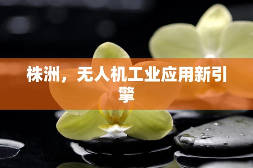 株洲，无人机工业应用新引擎