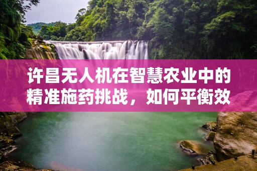 许昌无人机在智慧农业中的精准施药挑战，如何平衡效率与环境保护？
