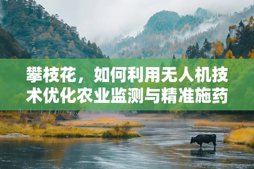 攀枝花，如何利用无人机技术优化农业监测与精准施药？