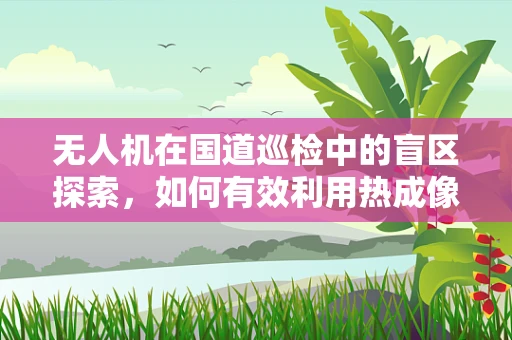 无人机在国道巡检中的盲区探索，如何有效利用热成像技术？