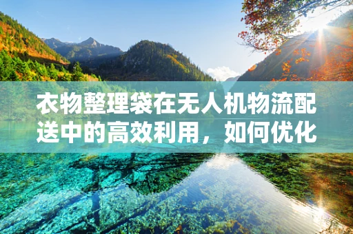 衣物整理袋在无人机物流配送中的高效利用，如何优化装载效率与减少遗漏？
