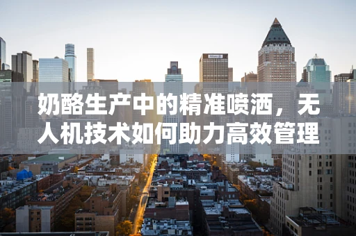 奶酪生产中的精准喷洒，无人机技术如何助力高效管理？