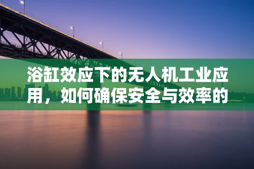 浴缸效应下的无人机工业应用，如何确保安全与效率的平衡？