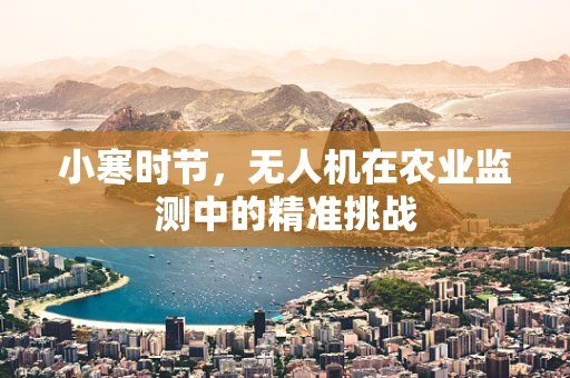 小寒时节，无人机在农业监测中的精准挑战