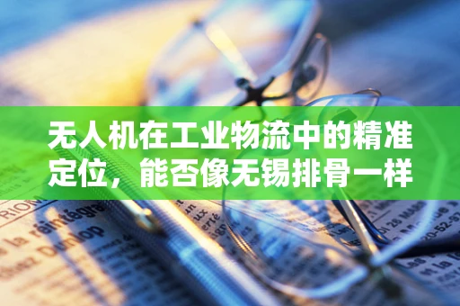 无人机在工业物流中的精准定位，能否像无锡排骨一样精准入味？