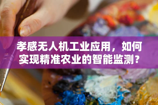 孝感无人机工业应用，如何实现精准农业的智能监测？