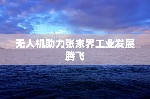 无人机助力张家界工业发展腾飞
