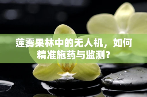 莲雾果林中的无人机，如何精准施药与监测？