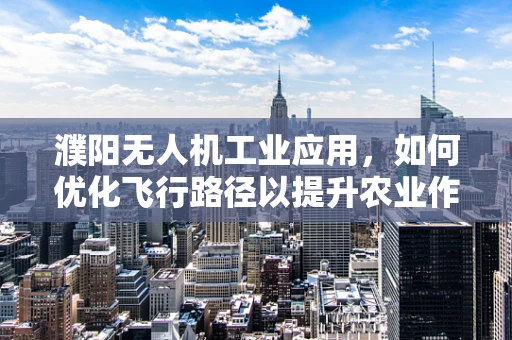濮阳无人机工业应用，如何优化飞行路径以提升农业作业效率？