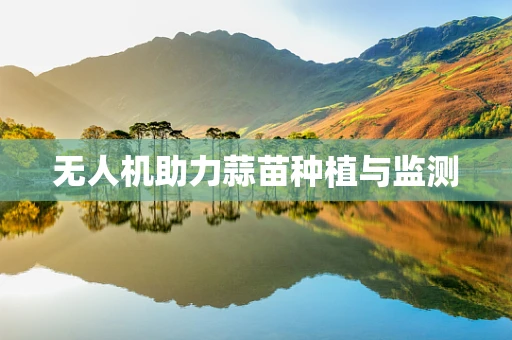 无人机助力蒜苗种植与监测