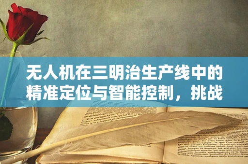 无人机在三明治生产线中的精准定位与智能控制，挑战与解决方案